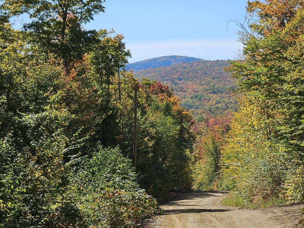 Lot 9 E Moose Alley Road Property Photo 9