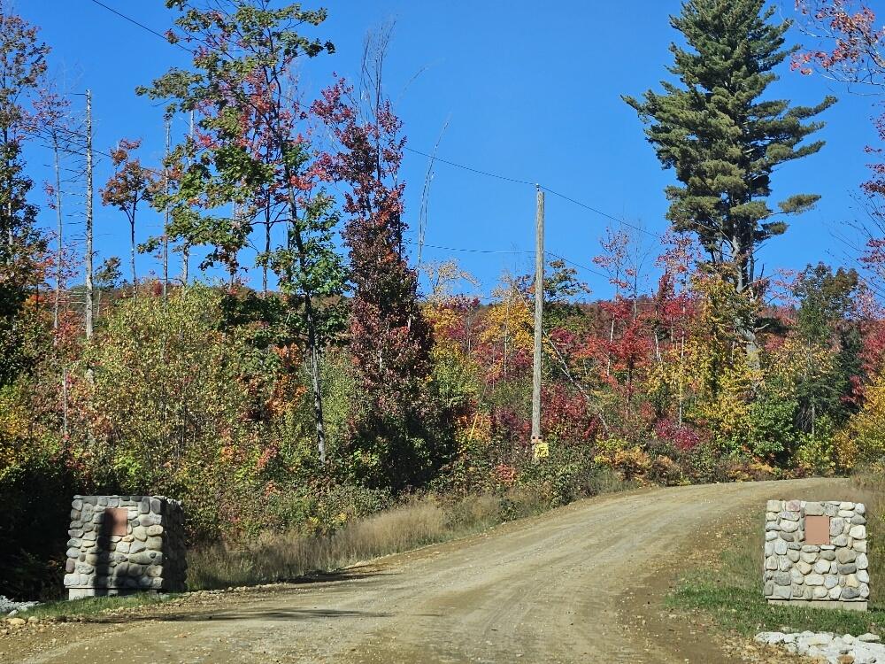 Lot 9 E Moose Alley Road Property Photo 10