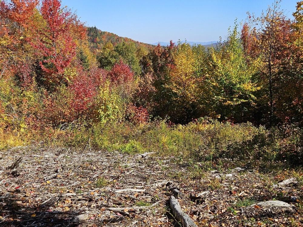 Lot 9 E Moose Alley Road Property Photo 11