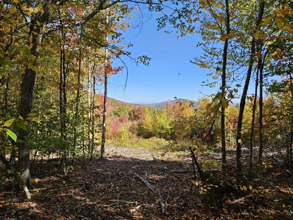 Lot 9 E Moose Alley Road Property Photo 13