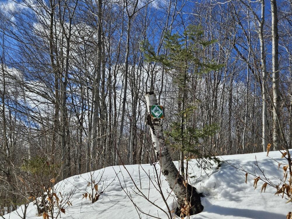 Lot 9 E Moose Alley Road Property Photo 17
