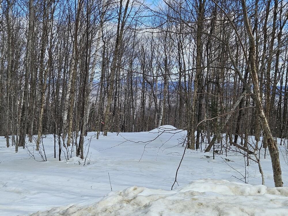 Lot 9 E Moose Alley Road Property Photo 23