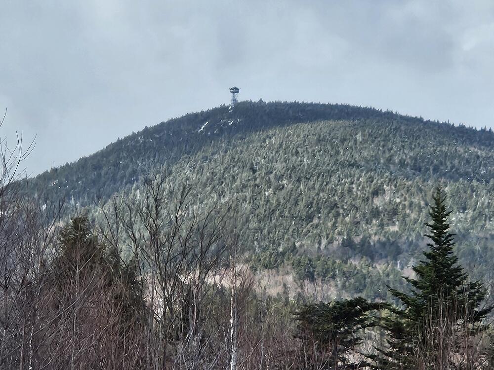 Lot 9 E Moose Alley Road Property Photo 28