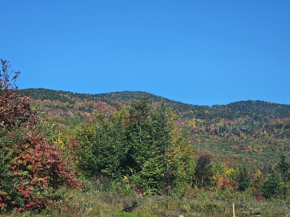 Lot 9 E Moose Alley Road Property Photo 33