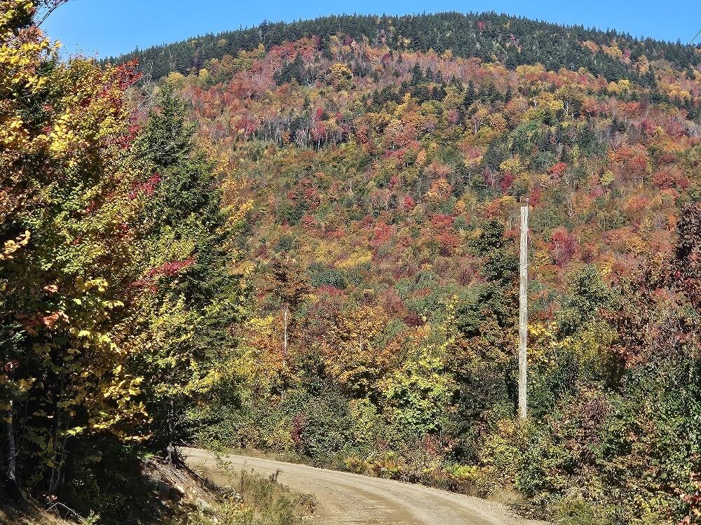 Lot 9 E Moose Alley Road Property Photo 35