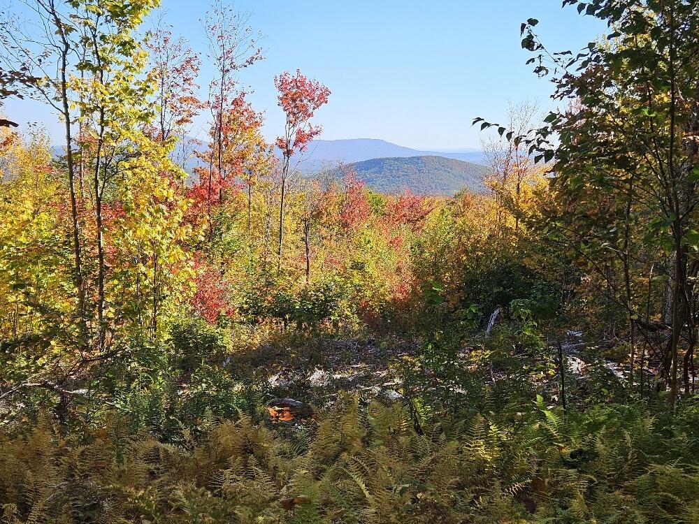 Lot 9 E Moose Alley Road Property Photo 36
