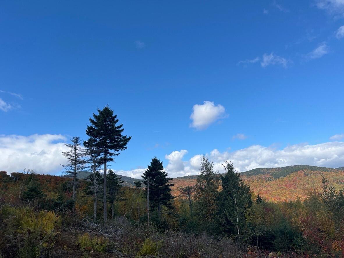 Lot 9 E Moose Alley Road Property Photo 45