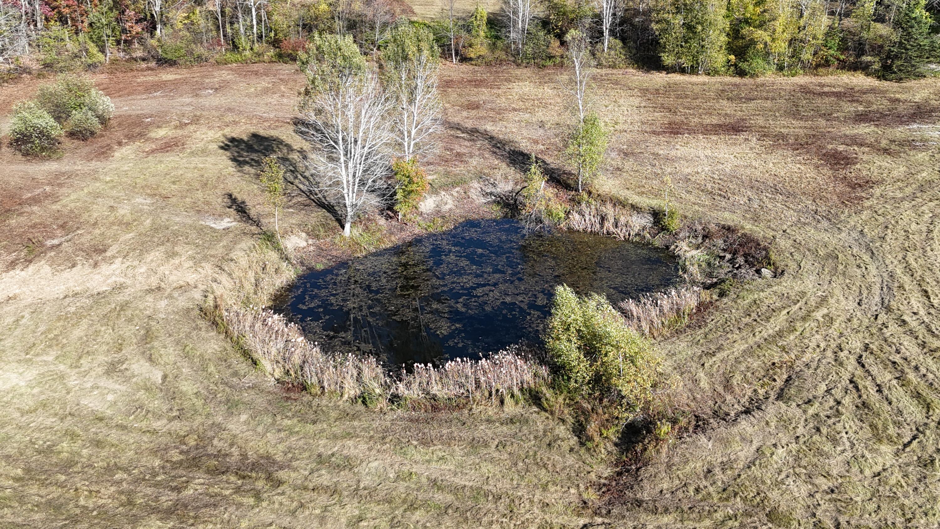 449 Holley Road Property Photo 88