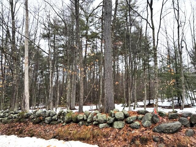 Lot# 1 Summit Road Property Photo 2