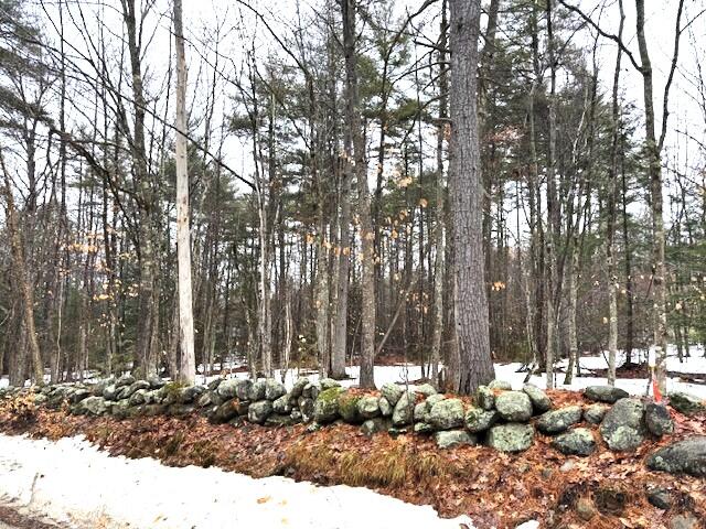 Lot# 1 Summit Road Property Photo 8