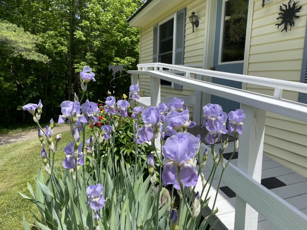 50 State Route 129 Property Photo 5