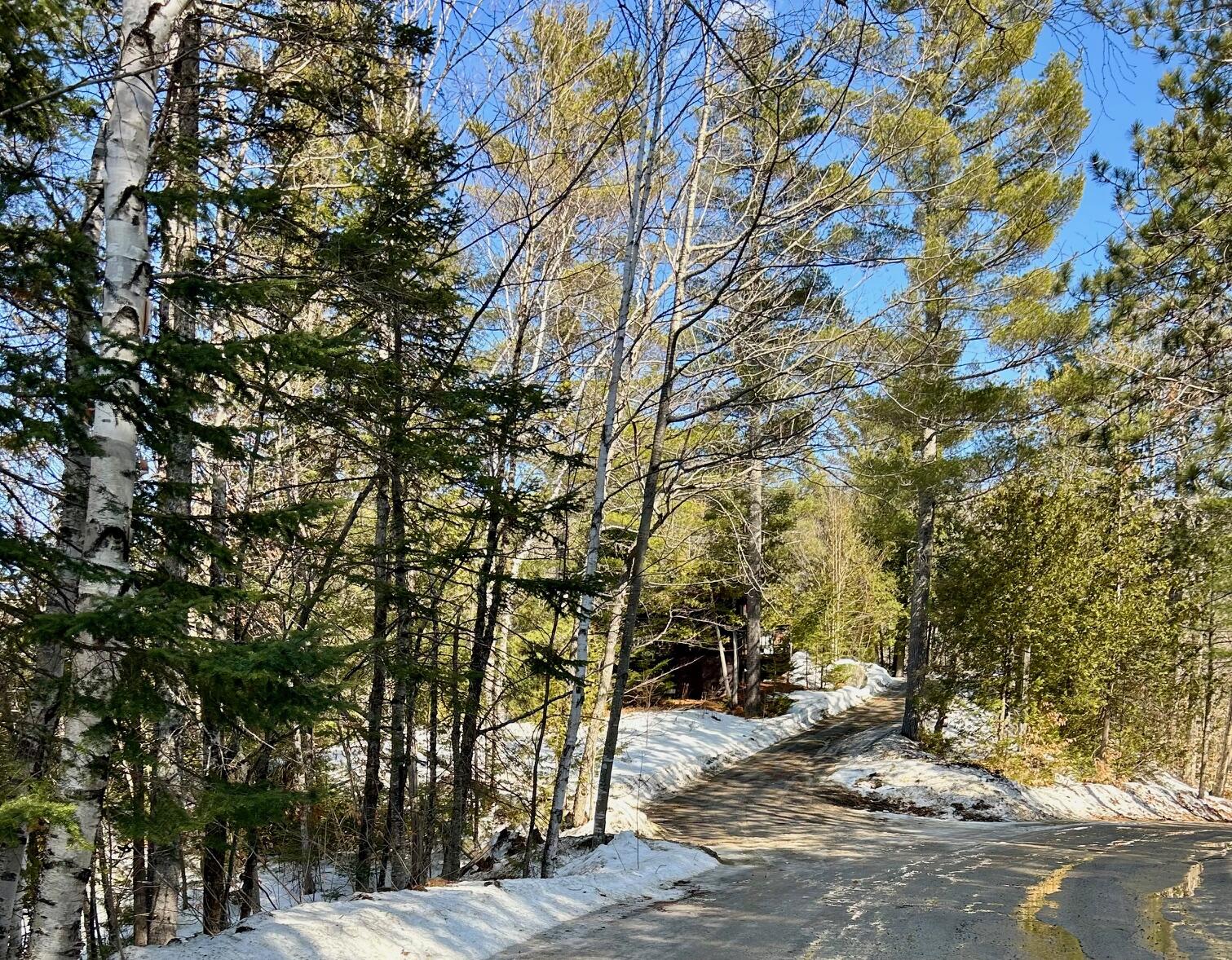 1050 Spring Farm Road Property Photo 17