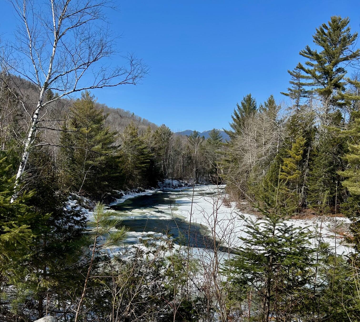 1050 Spring Farm Road Property Photo 18