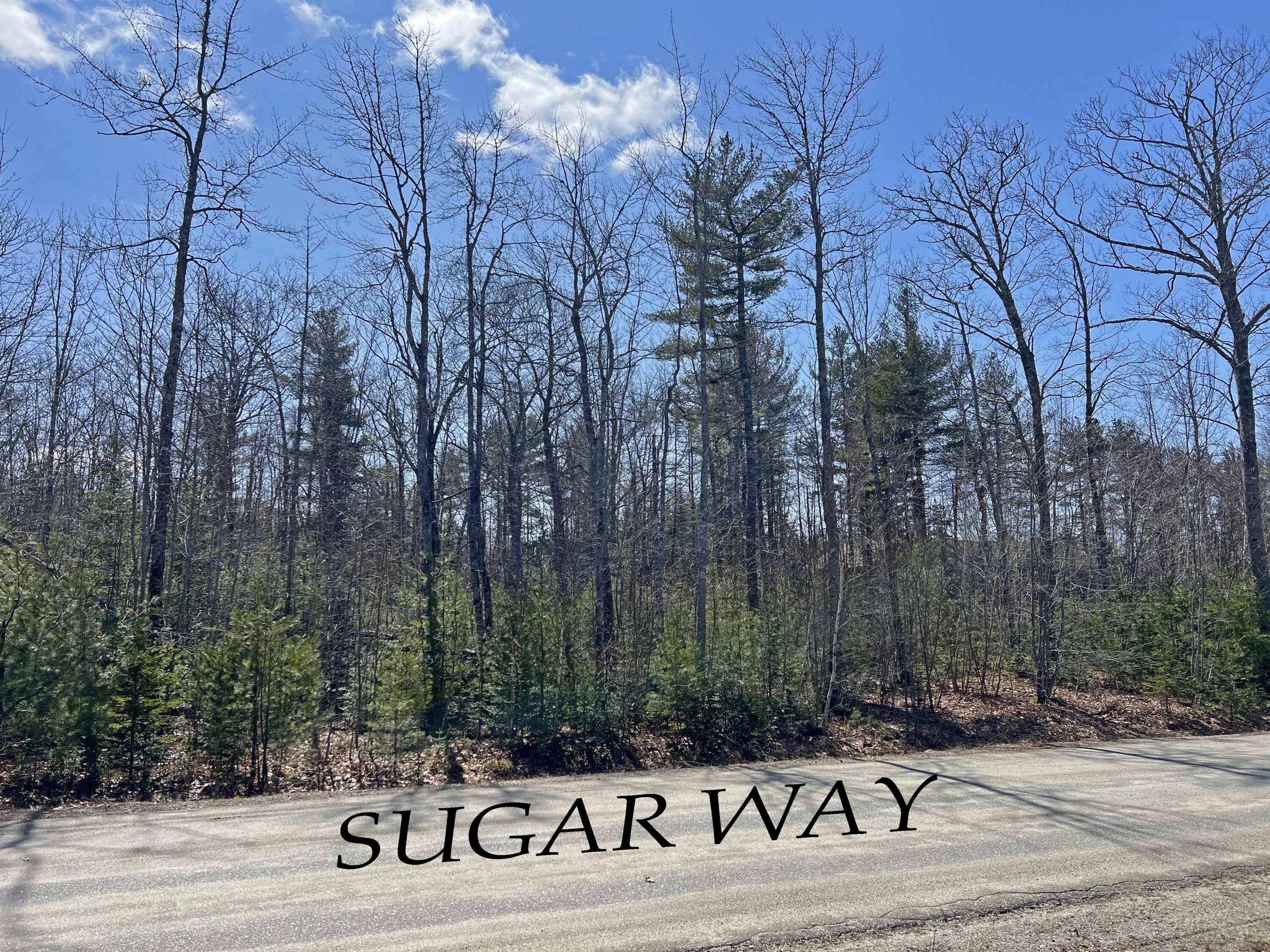 0 Sugar Way Property Photo 1