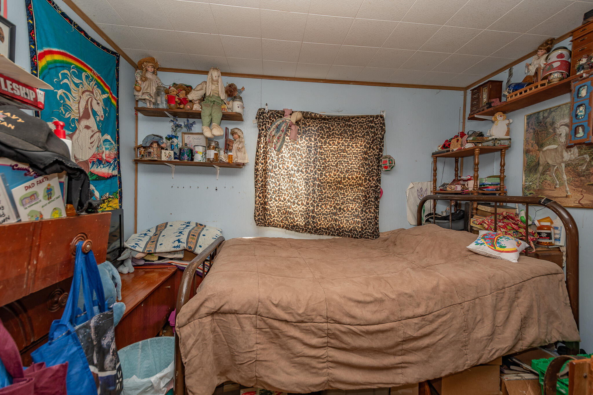 3 Clinton Street Property Photo 11