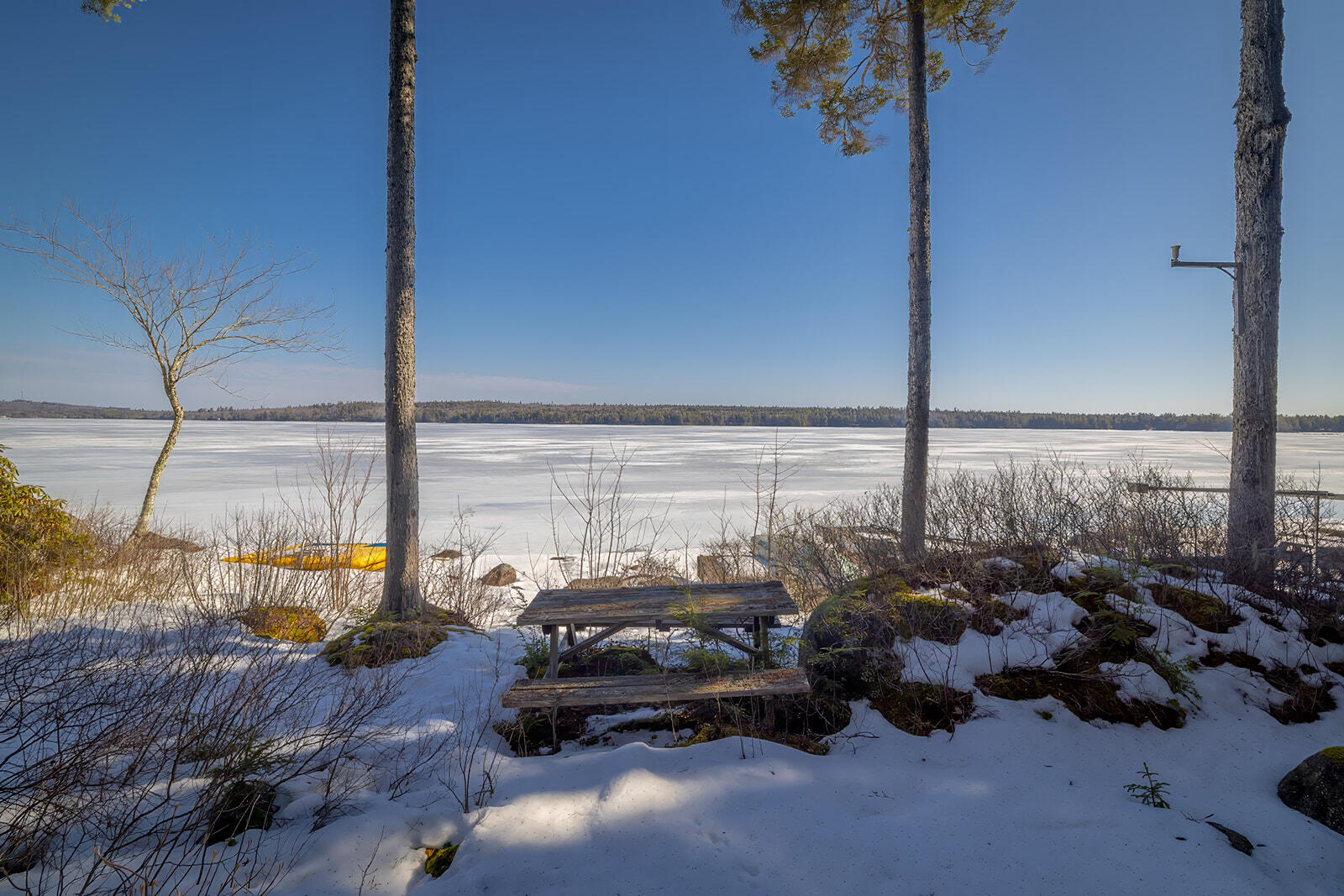 282 Branchview Drive Property Photo 6