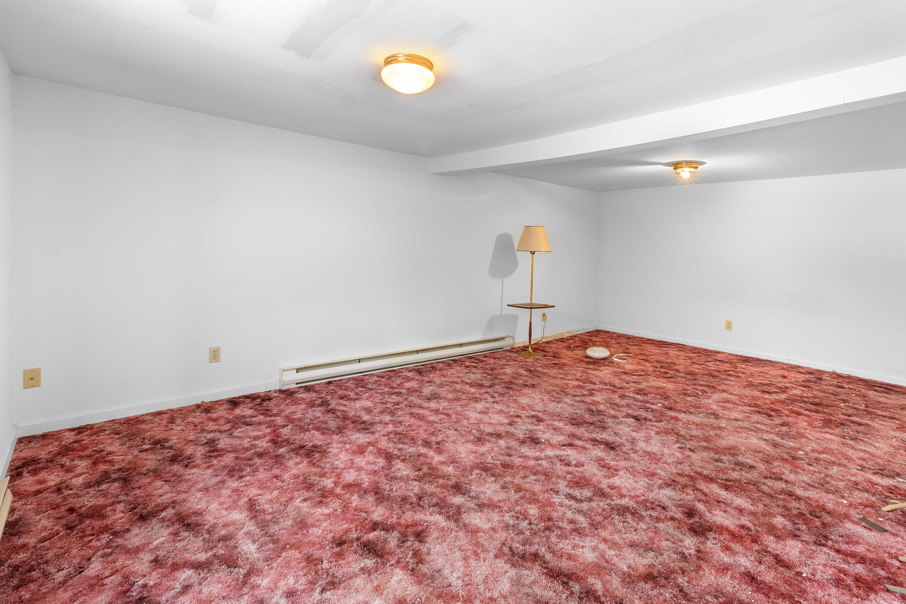 342-344 Park Street Property Photo 49