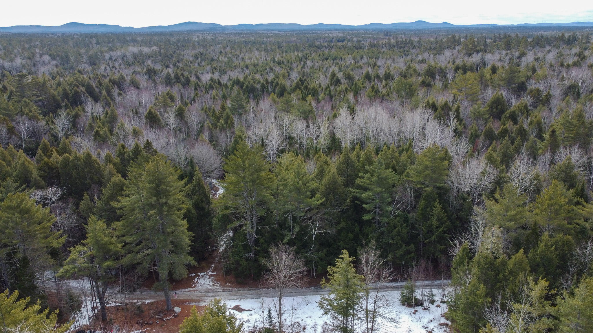 M1L58.3 Pickerel Pond Road Property Photo 1