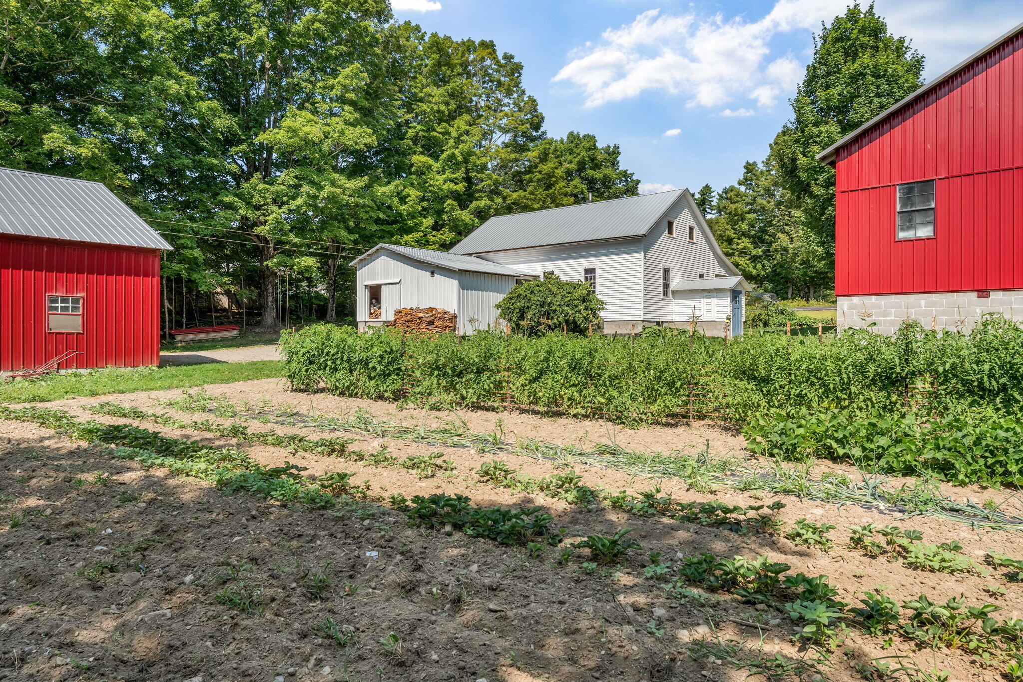 22 Rockland Road Property Photo 12