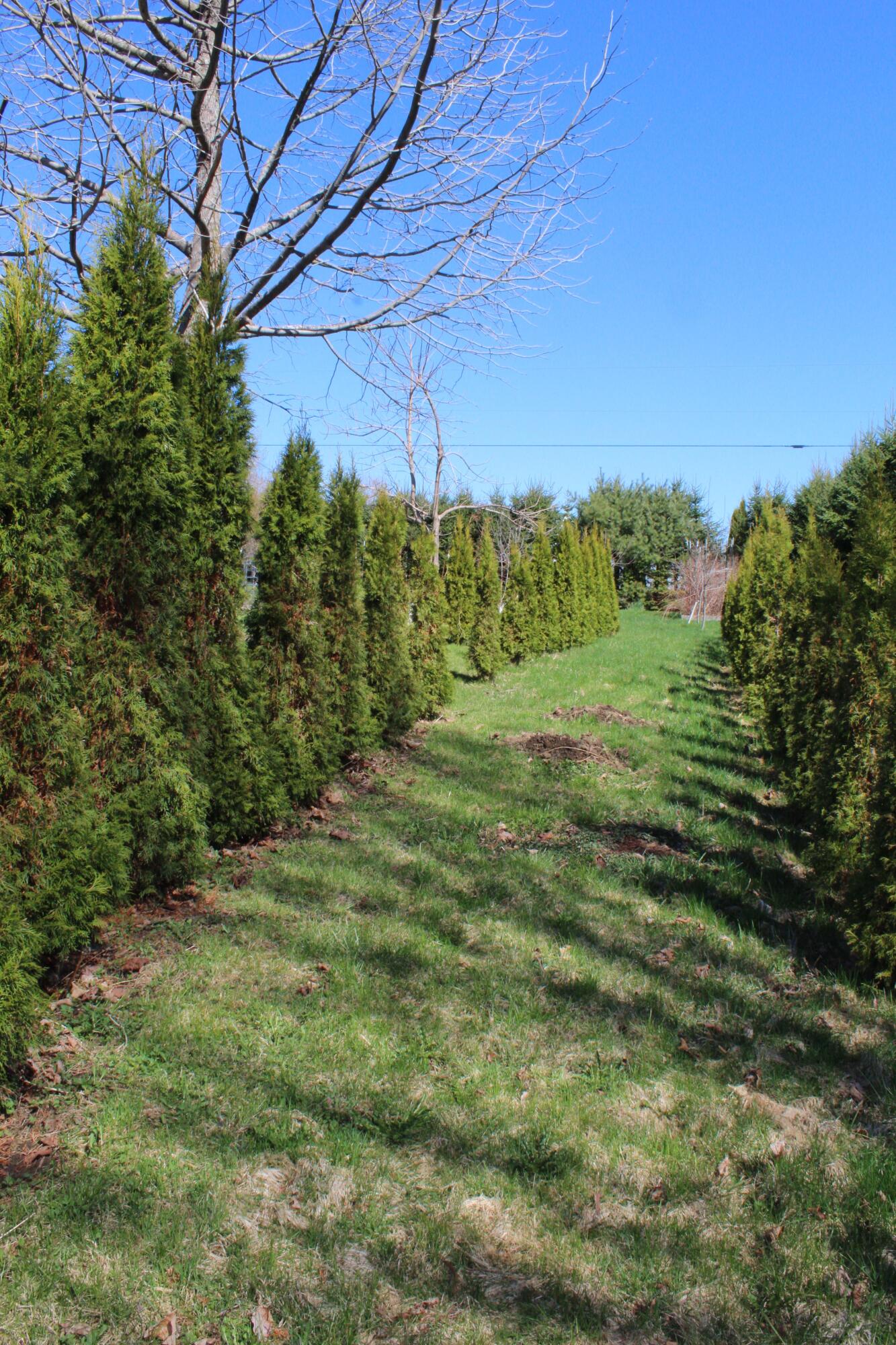759 Brooks Road Property Photo 20