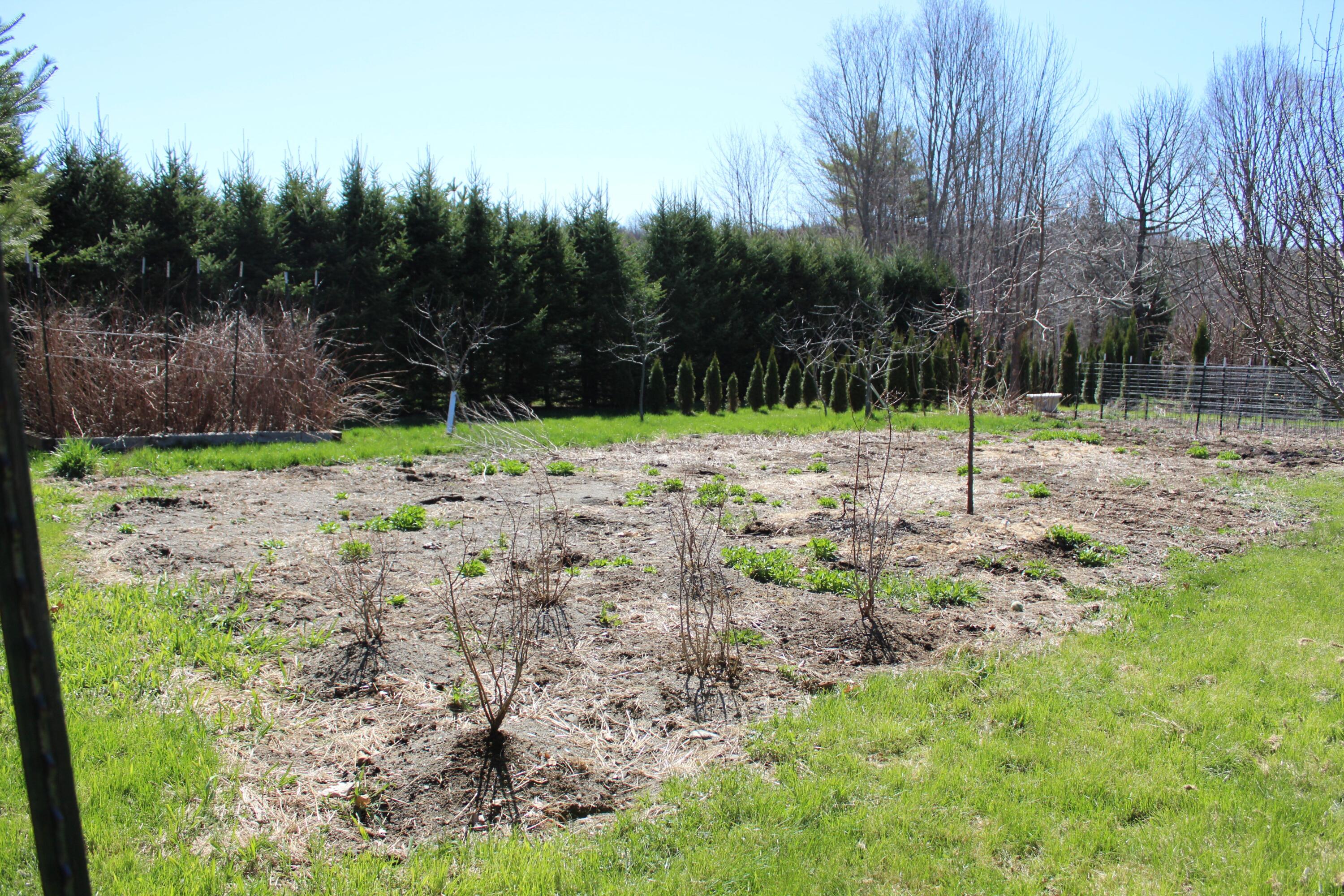 759 Brooks Road Property Photo 21