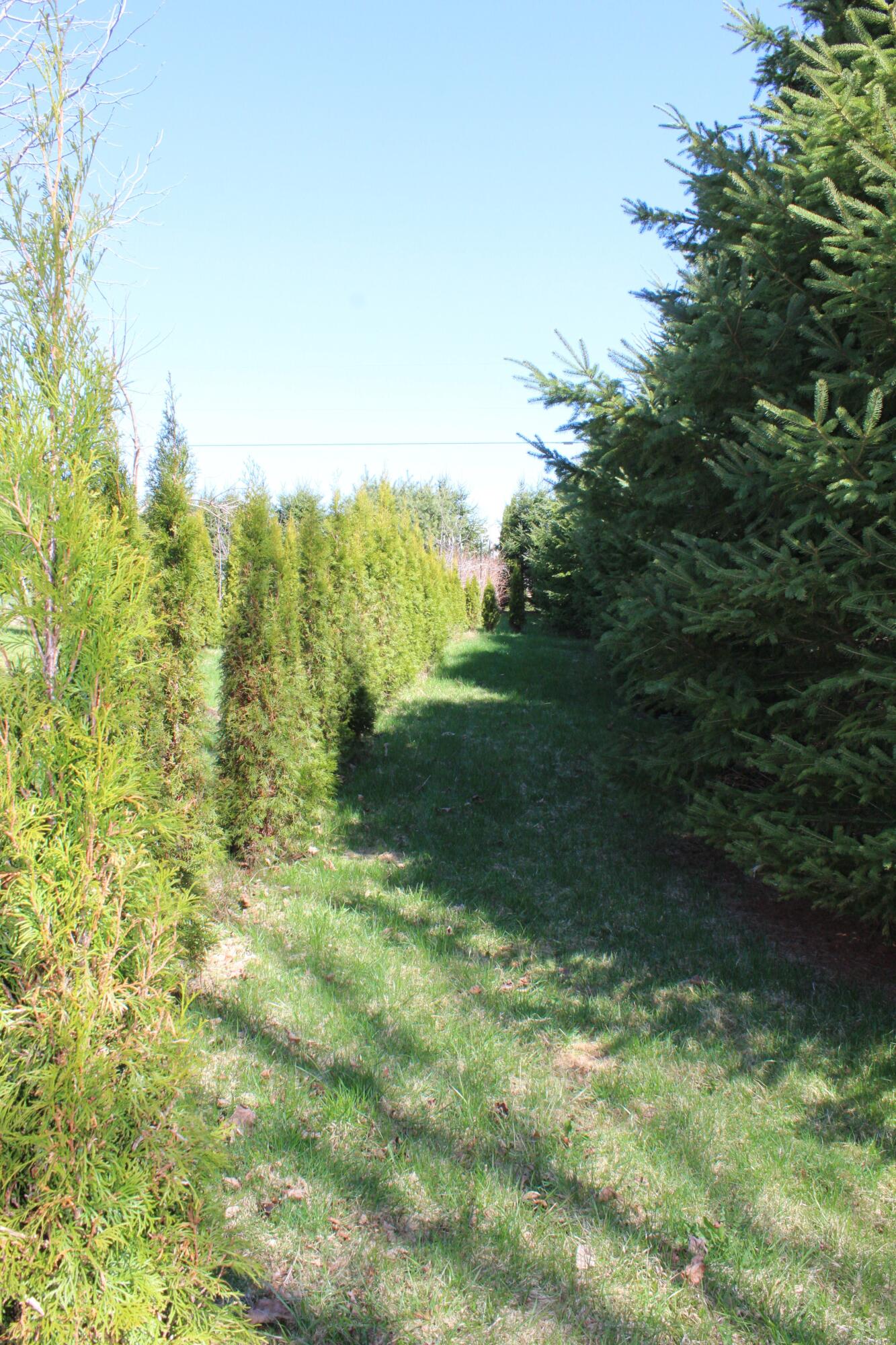 759 Brooks Road Property Photo 23