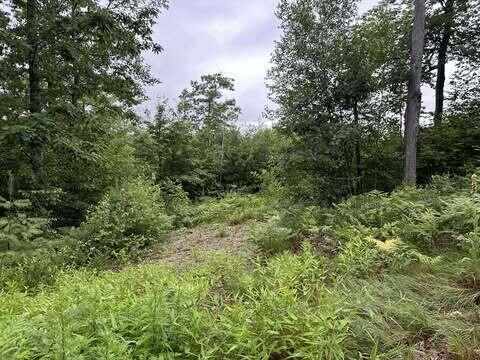 R01-044d Christian Hill Road Property Photo 2