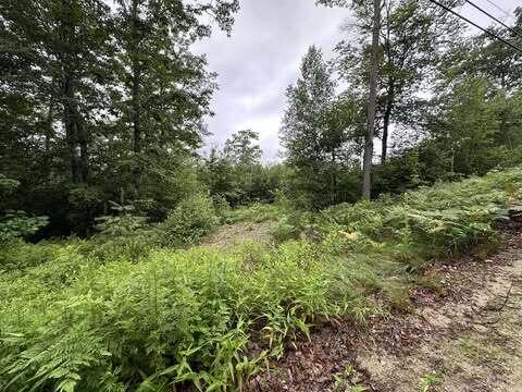 R01-044d Christian Hill Road Property Photo 3