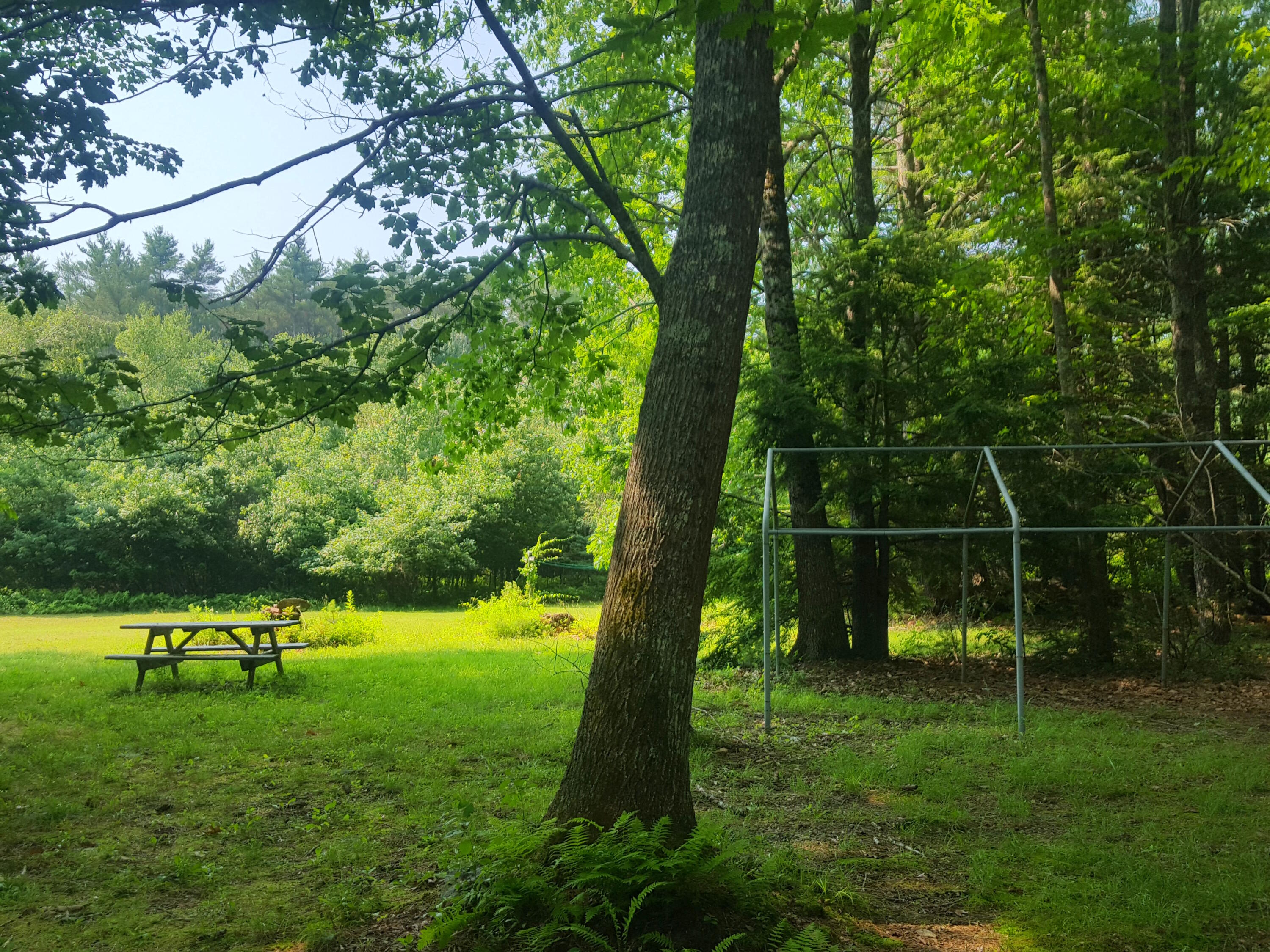 594 River Road Road Property Photo 9