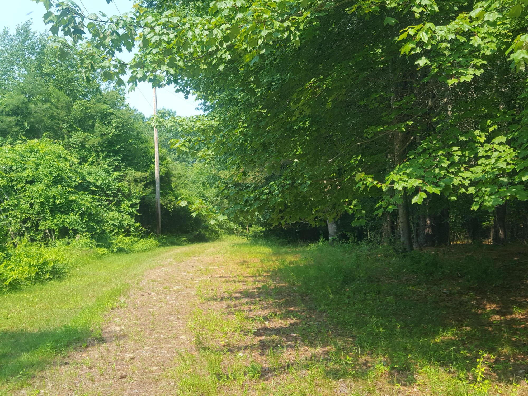 594 River Road Road Property Photo 13