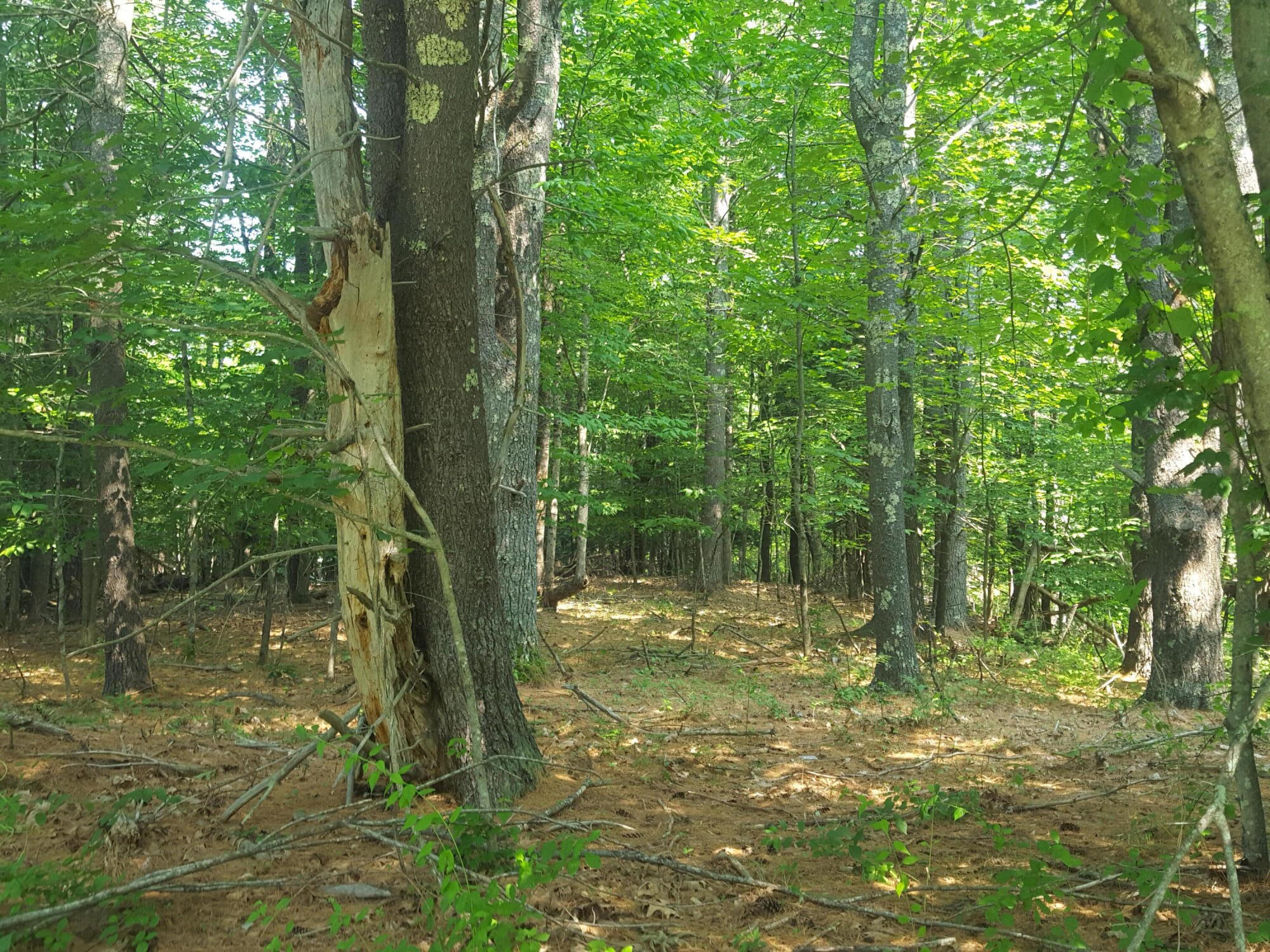 594 River Road Road Property Photo 14