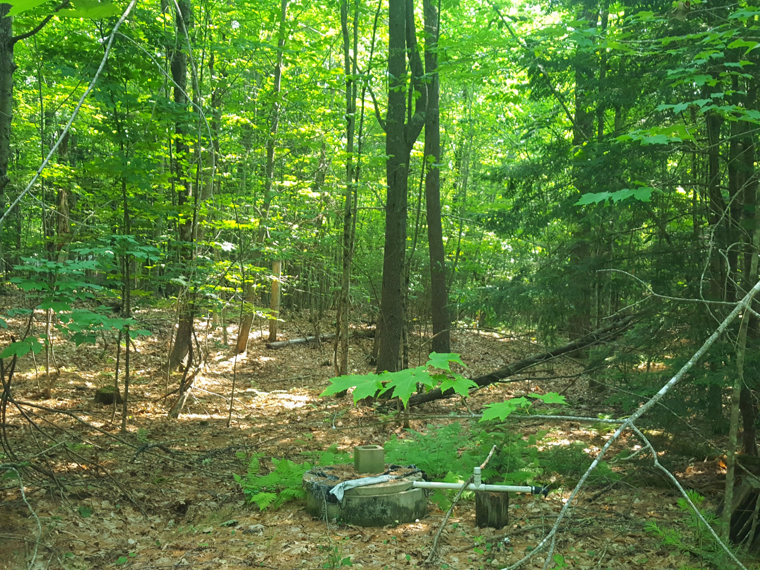 594 River Road Road Property Photo 15