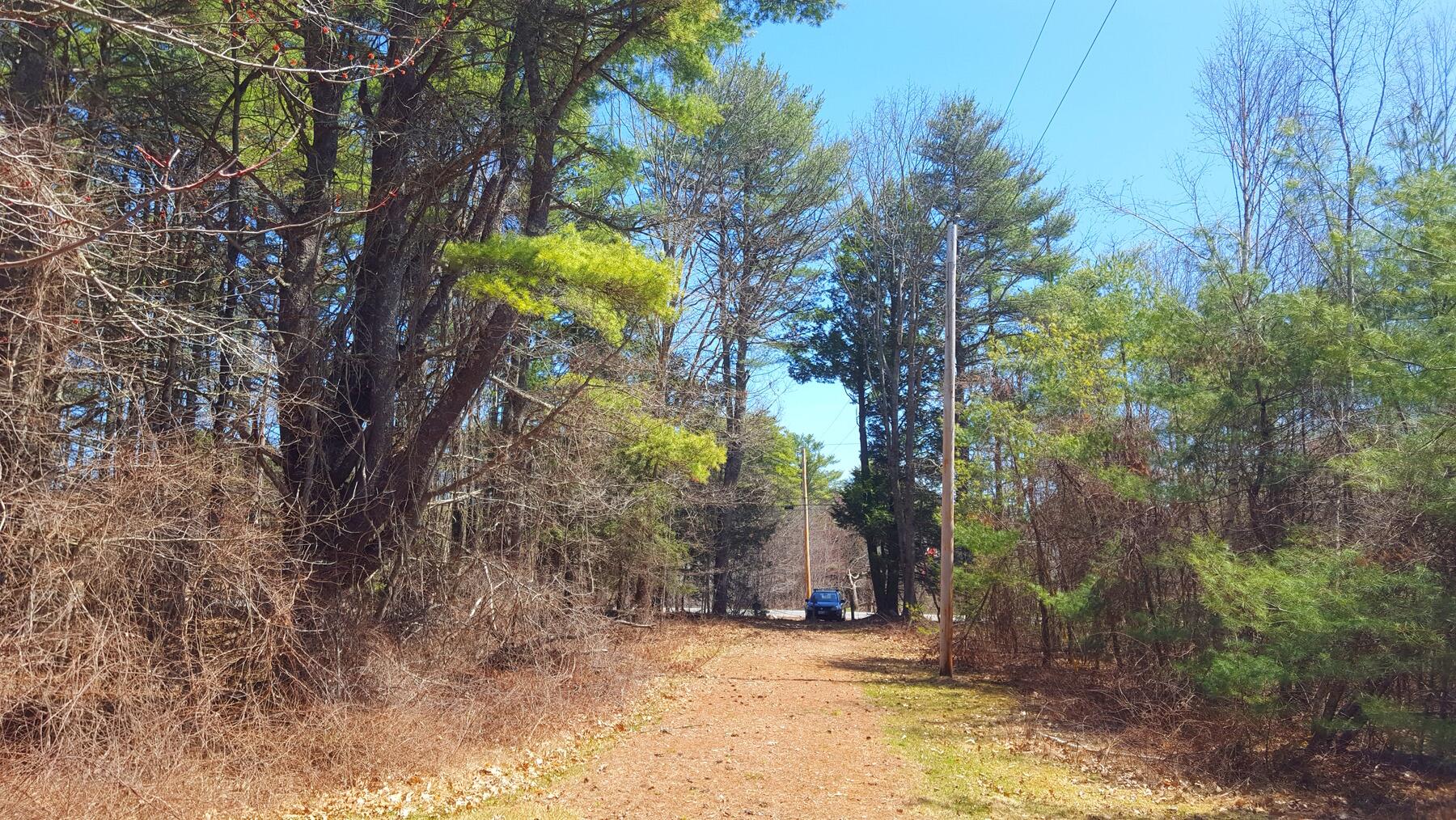 594 River Road Road Property Photo 17
