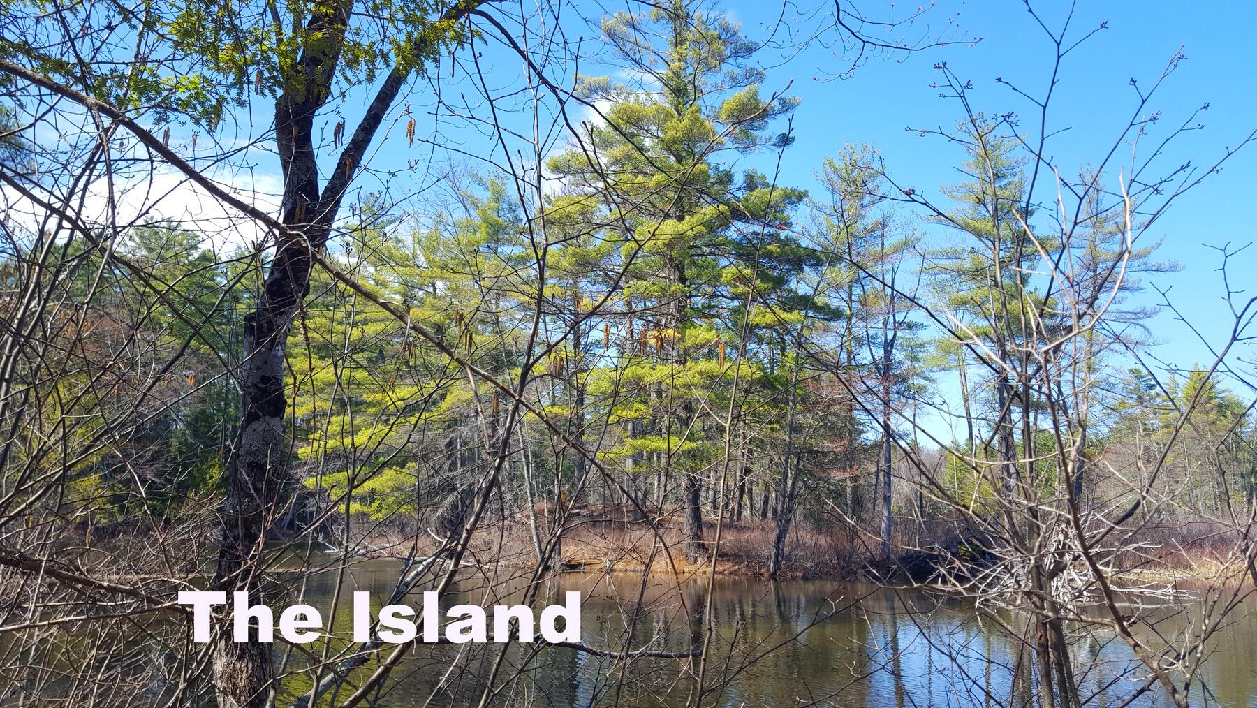 594 River Road Road Property Photo 21