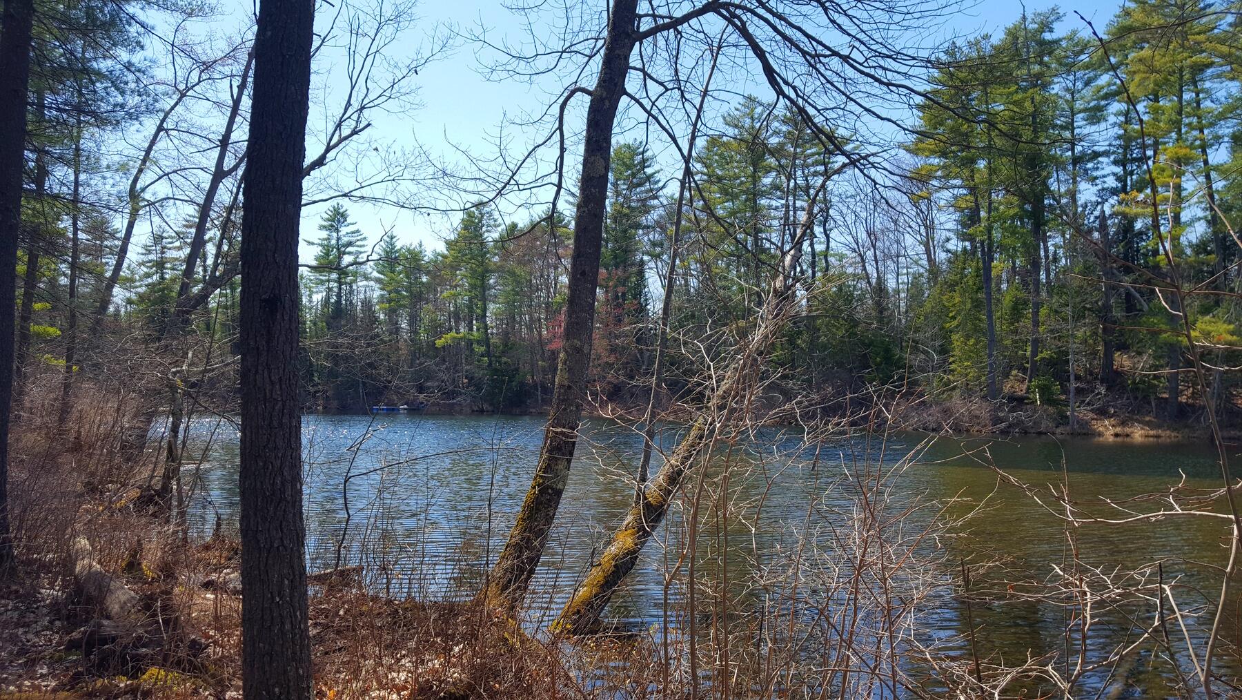 594 River Road Road Property Photo 28