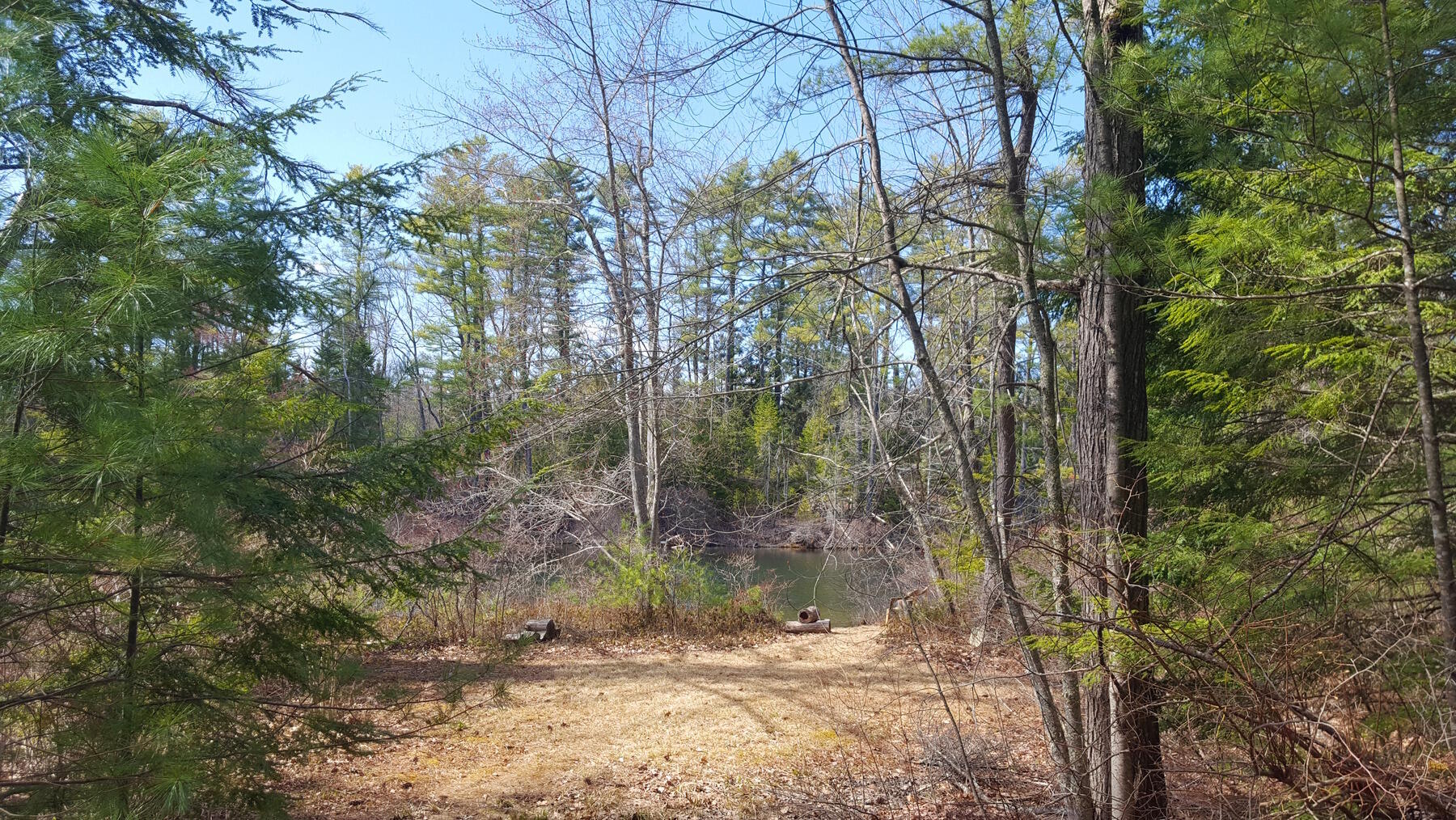 594 River Road Road Property Photo 32