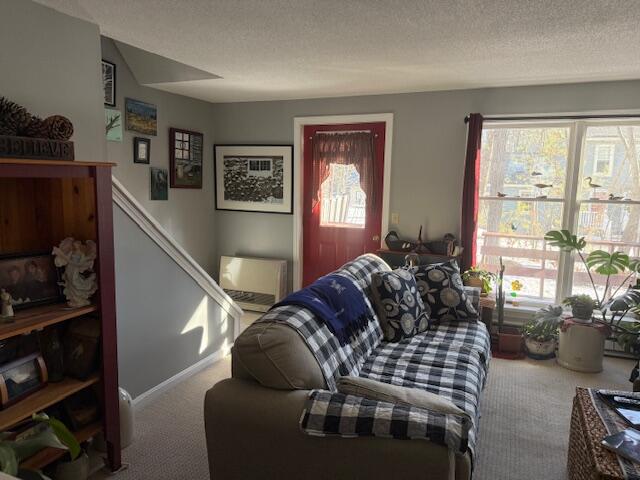 308 Evergreen Drive 308 Property Photo 13