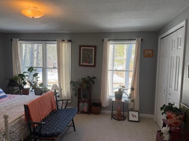308 Evergreen Drive 308 Property Photo 24