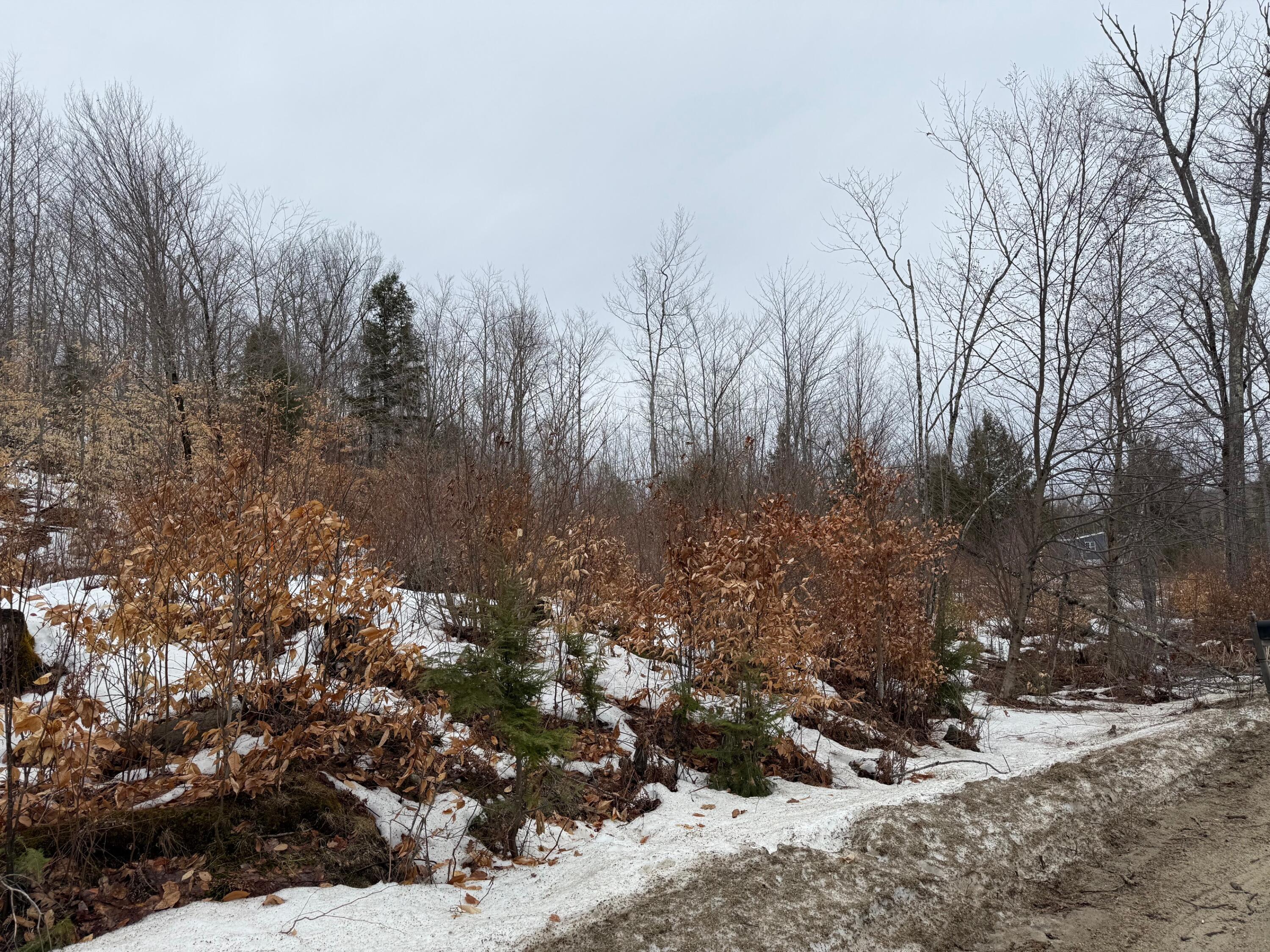 5 Lone Oaks Road Property Photo 1