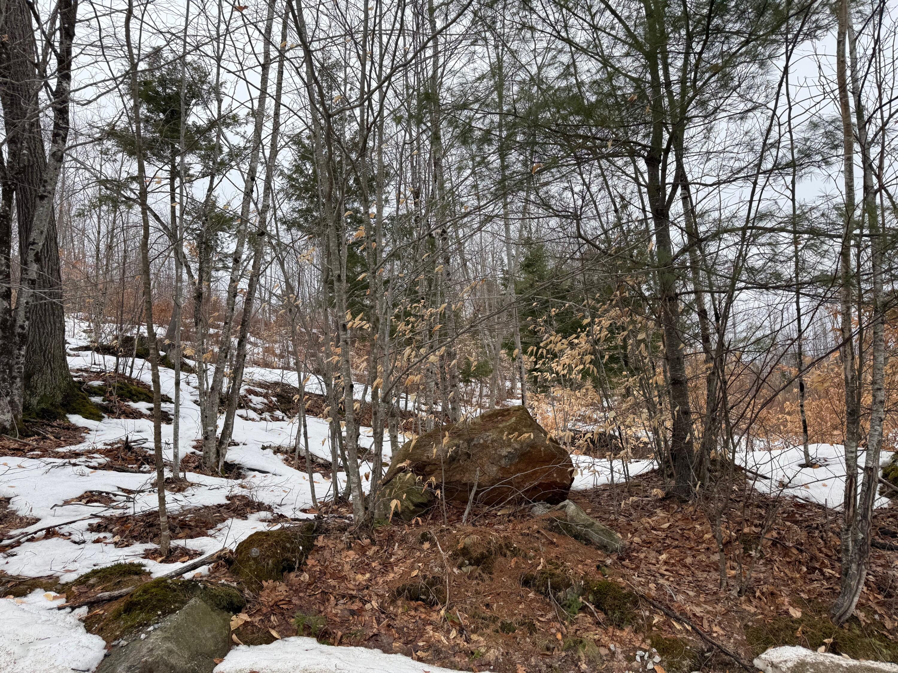 5 Lone Oaks Road Property Photo 2