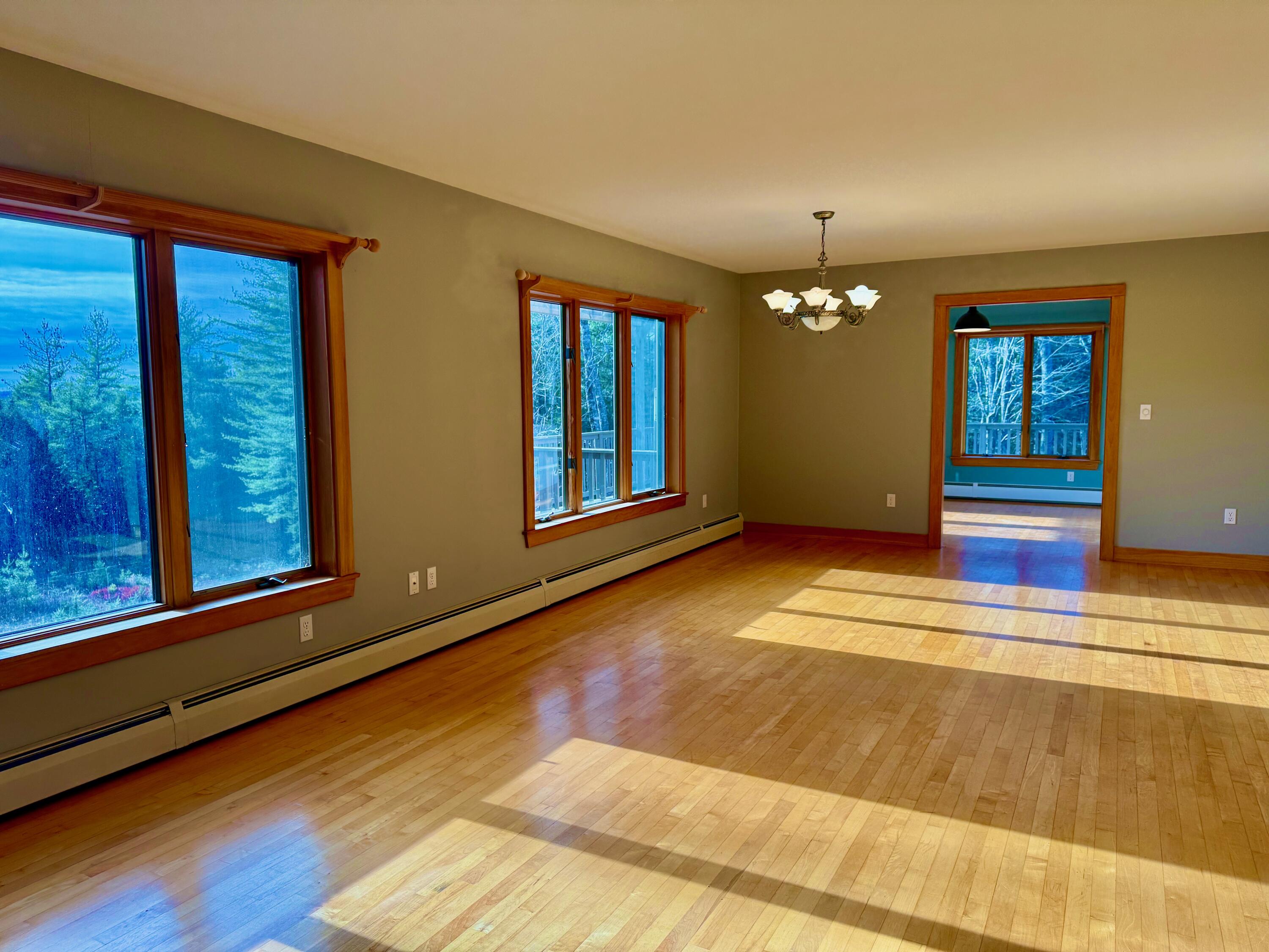 58 Woods Road Property Photo 26