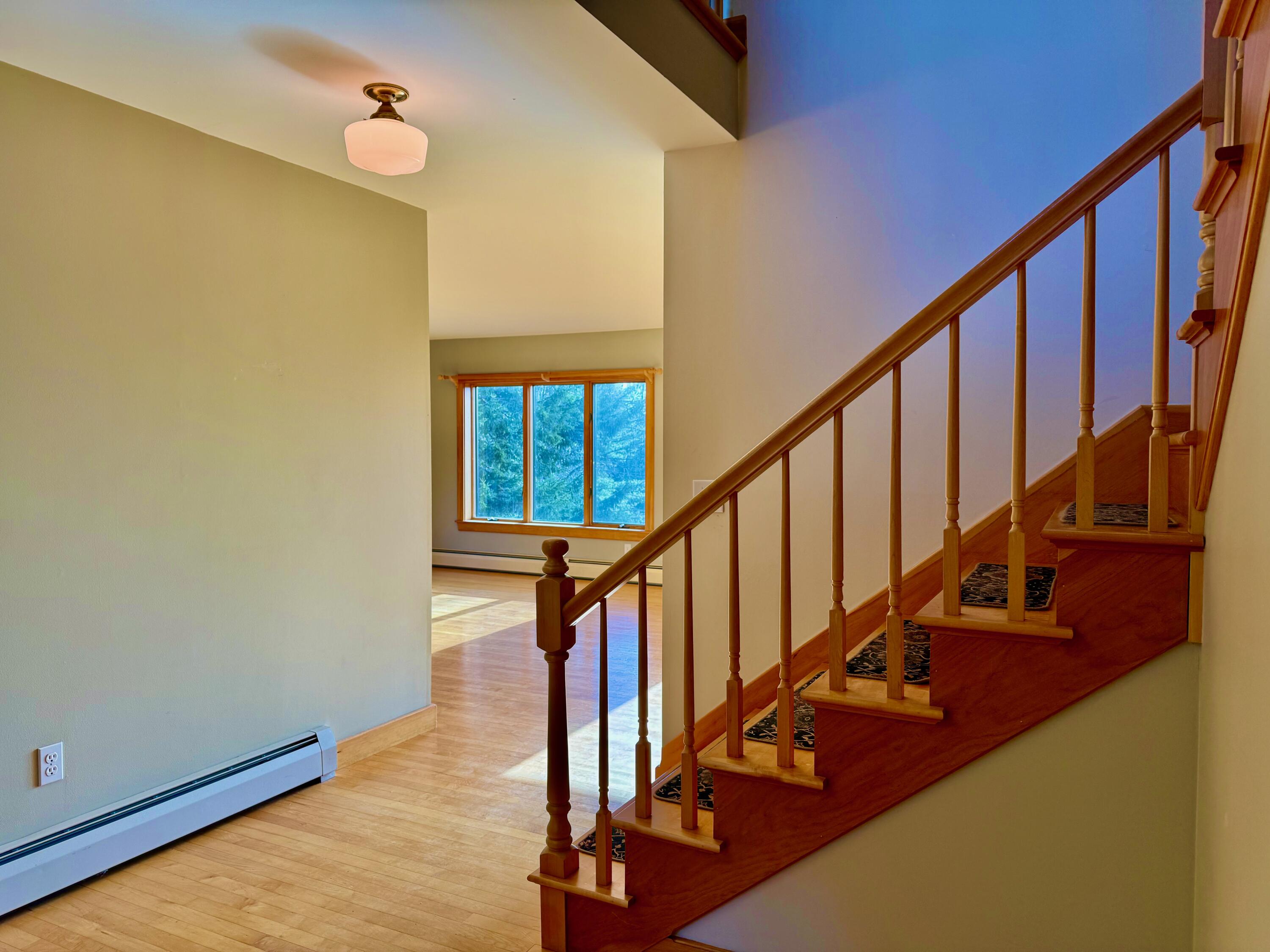 58 Woods Road Property Photo 37