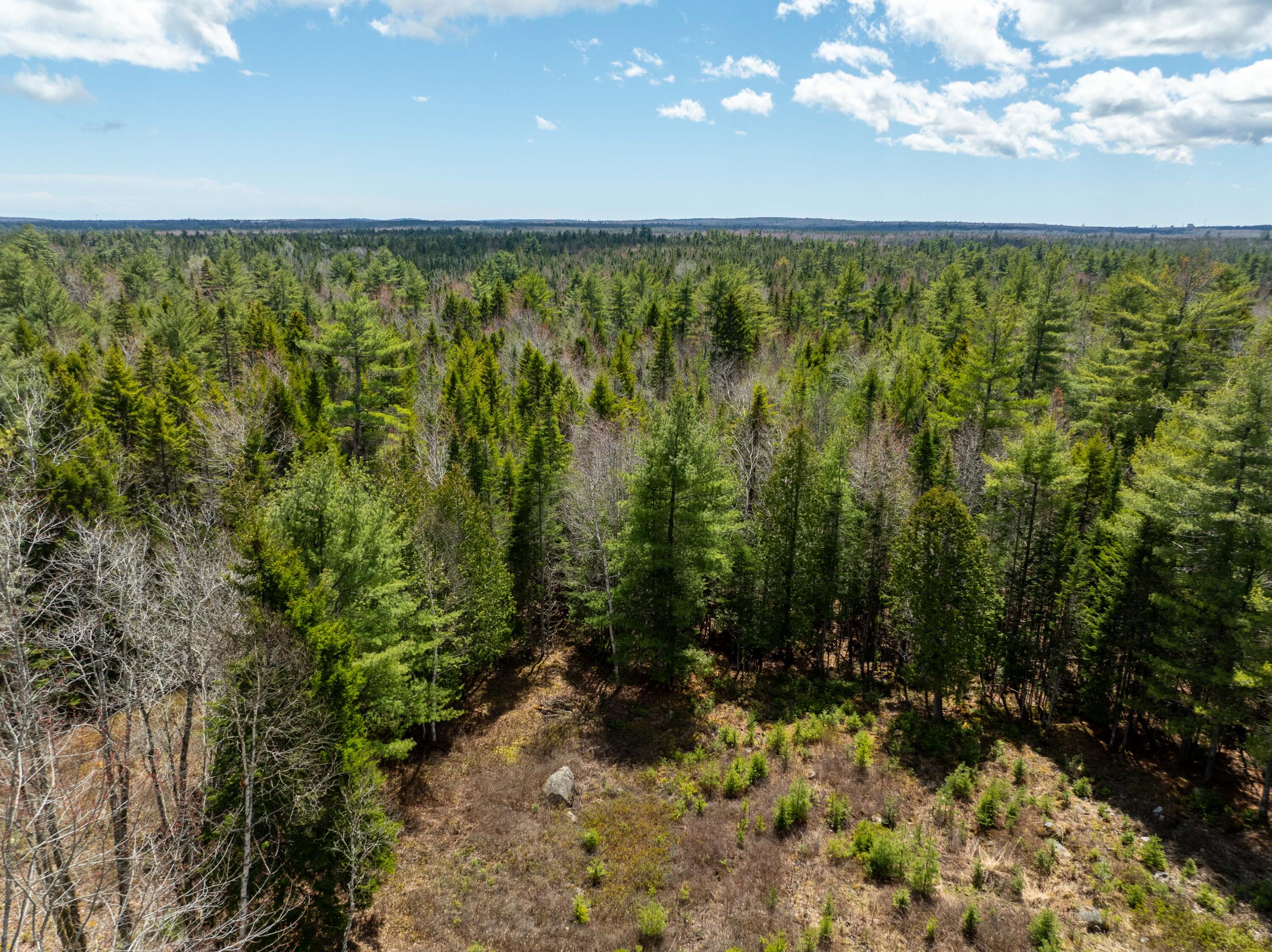 58 Woods Road Property Photo 123