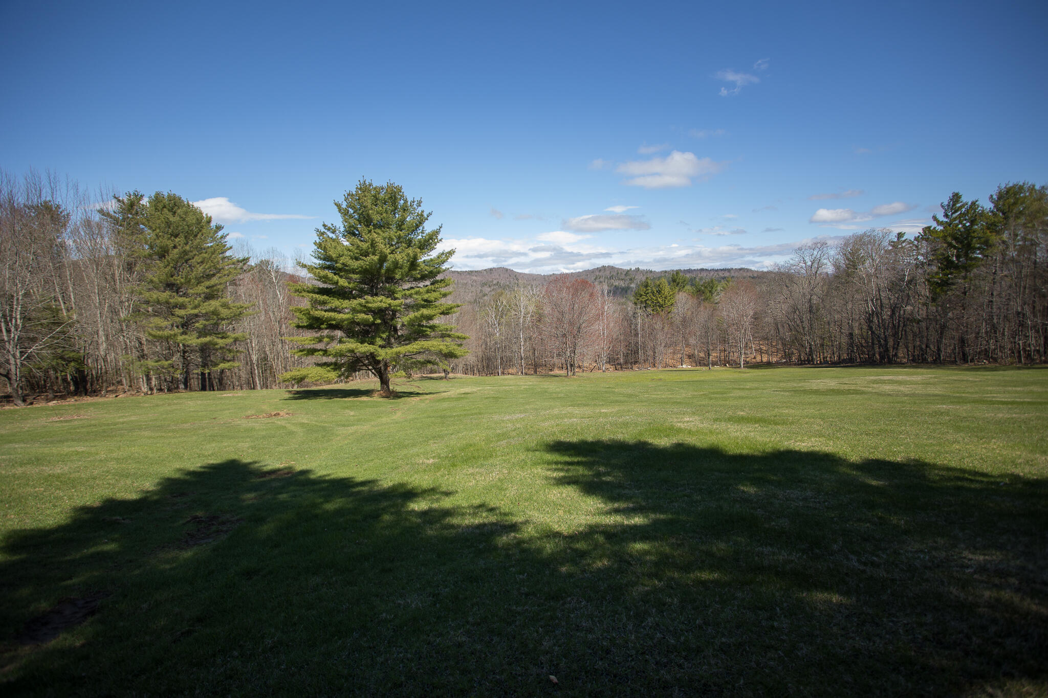 88 Hall Hill Road Property Photo 8