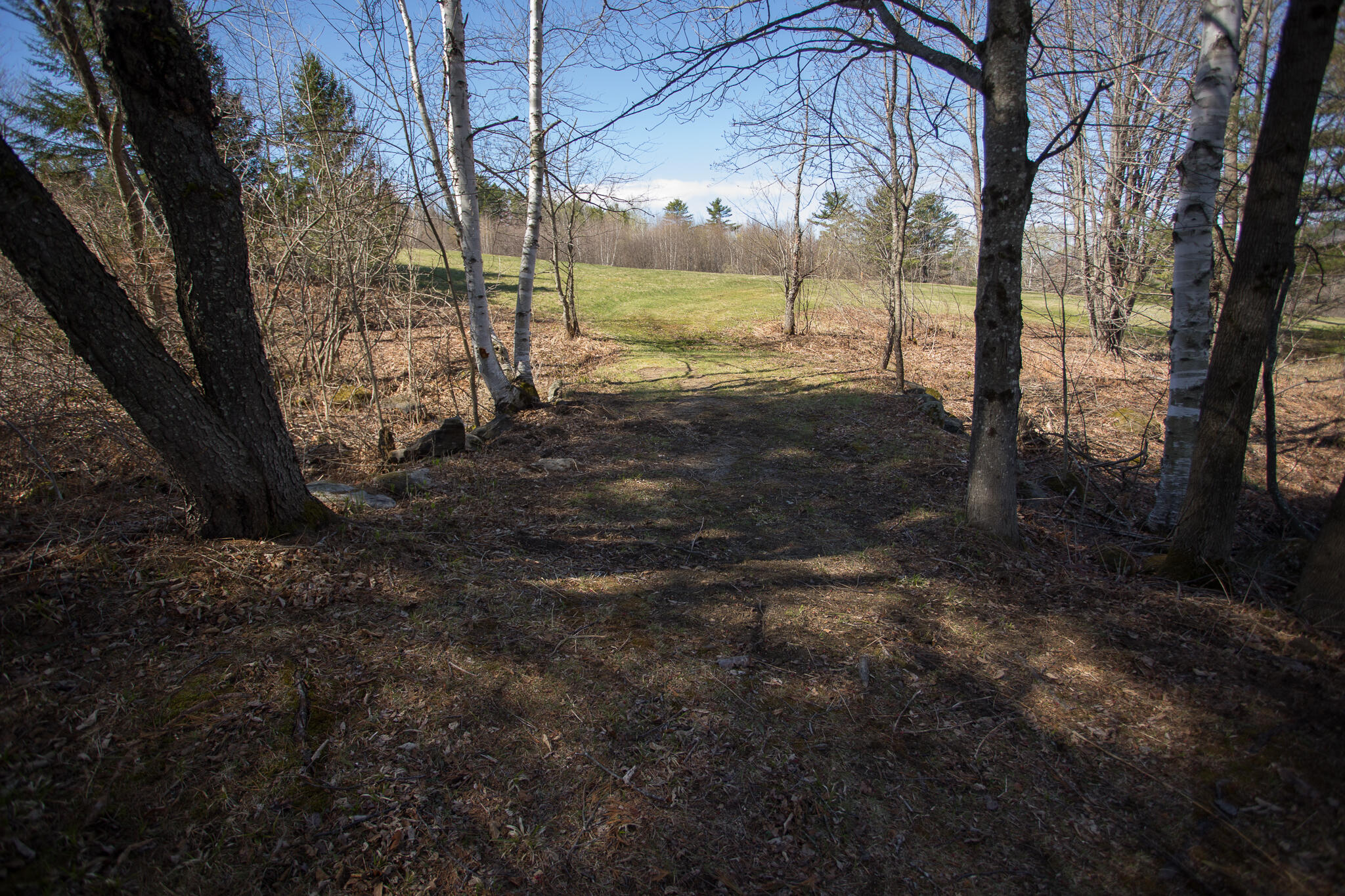 88 Hall Hill Road Property Photo 11