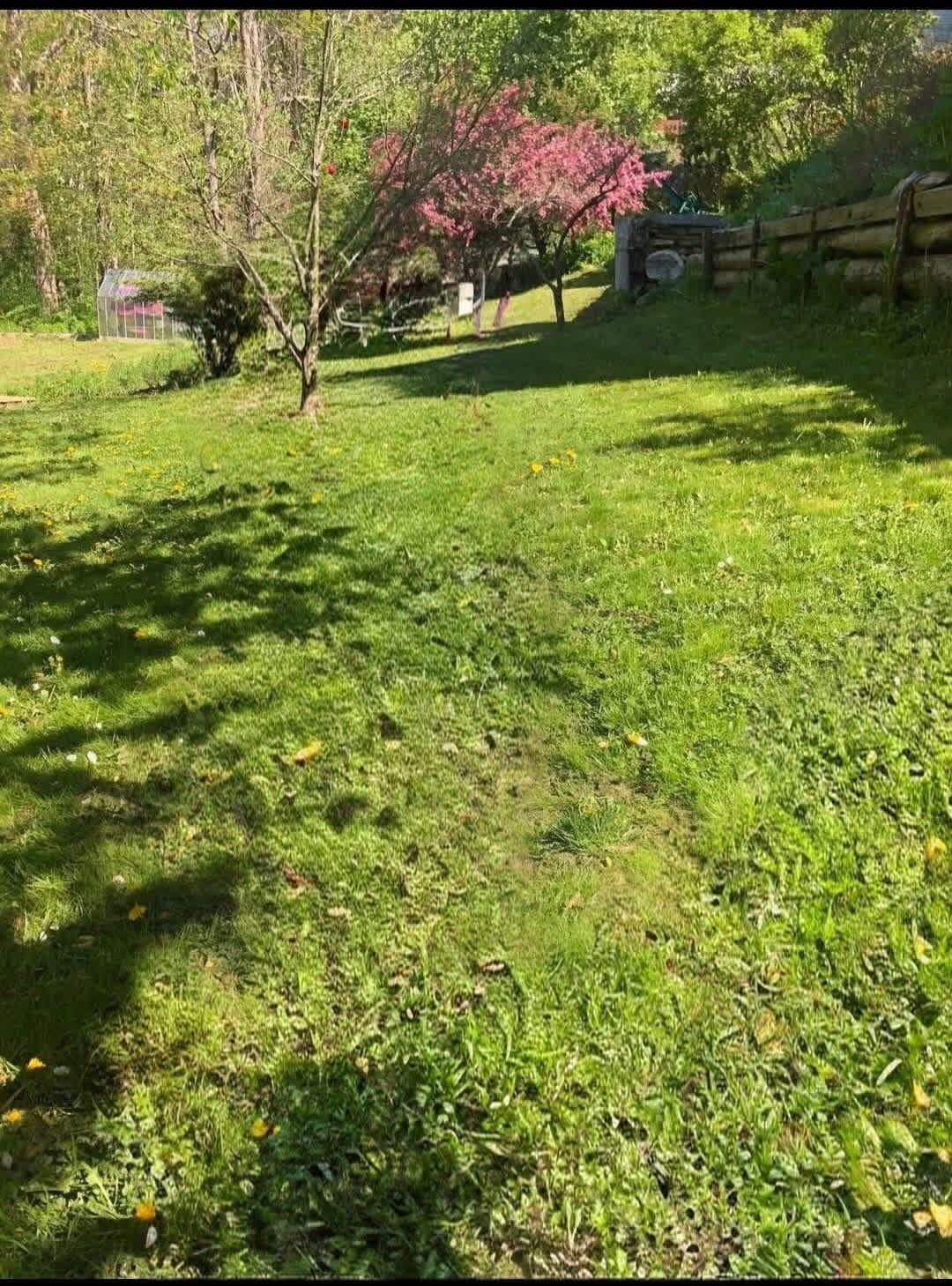 38 Main Street Property Photo 52