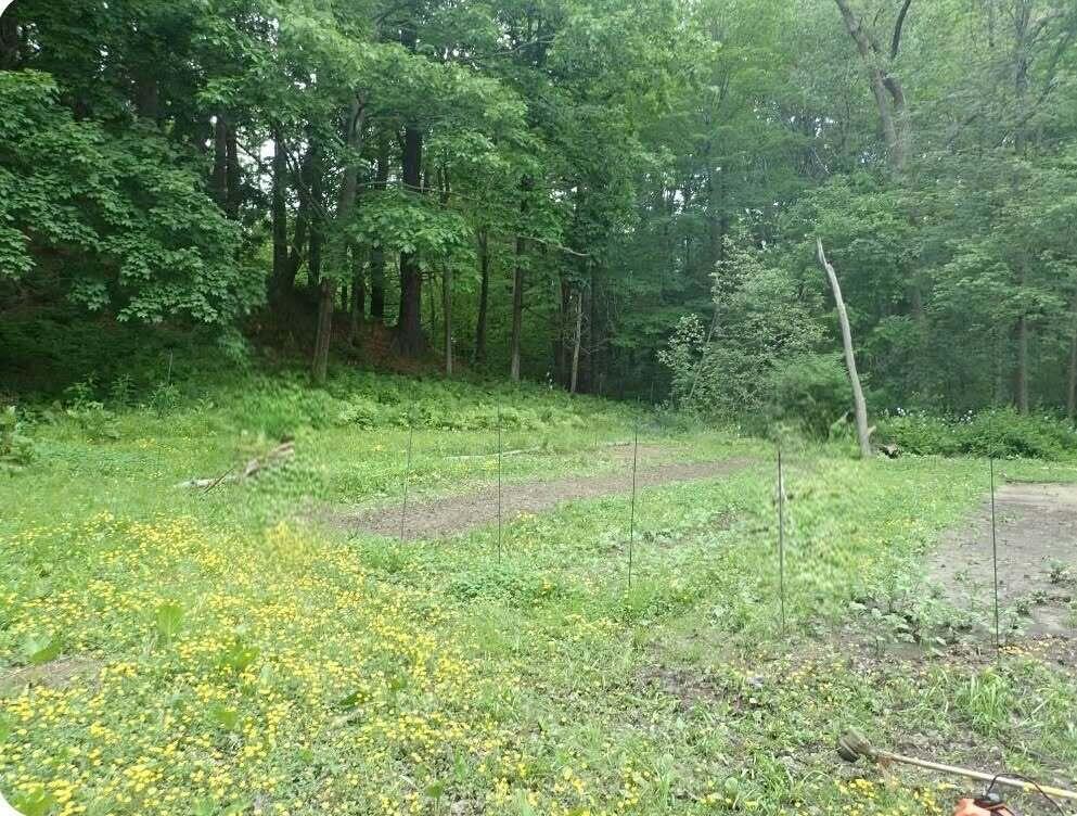 38 Main Street Property Photo 58
