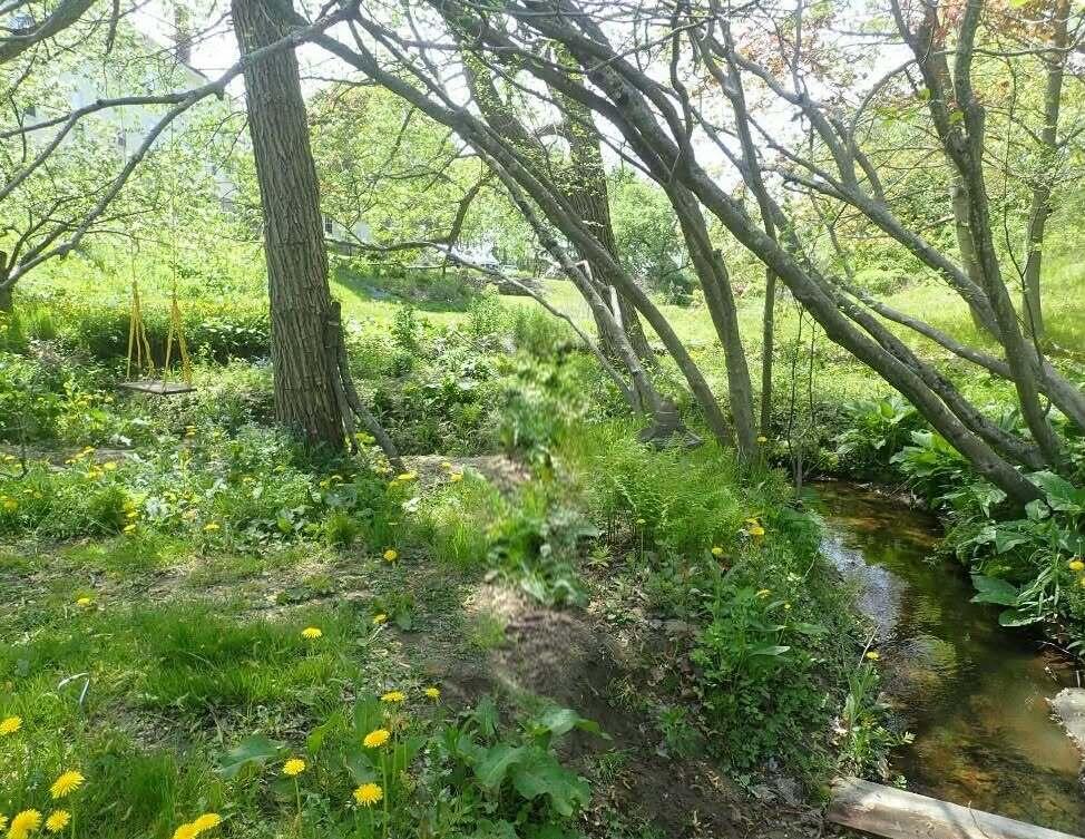 38 Main Street Property Photo 61
