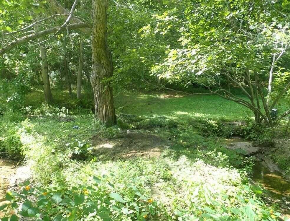 38 Main Street Property Photo 66