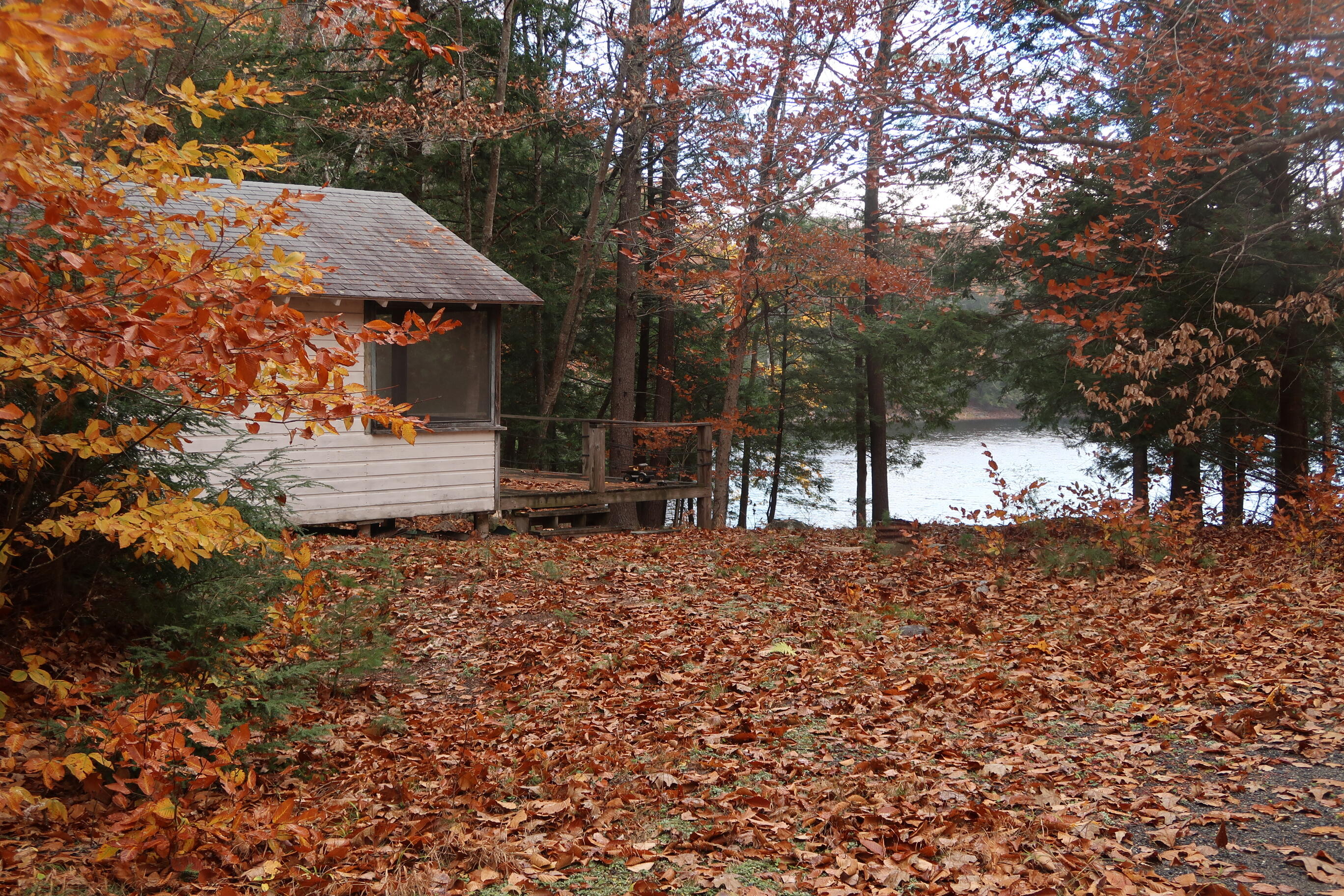 64 Paddleford Road Property Photo 4